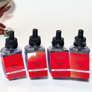 FROZEN LAKE Wallflowers